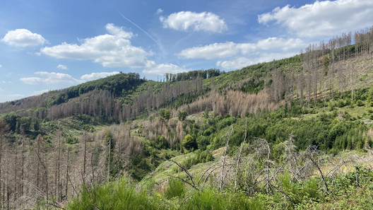 Kreiswald Bergneustadt