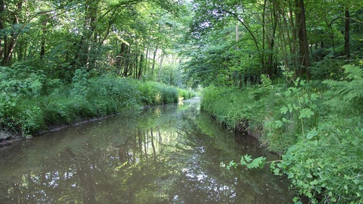 Wasser, ARD,