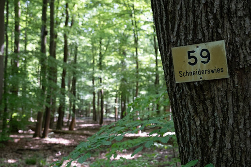 Alte Flurbezeichnung im Saarkohlenwald