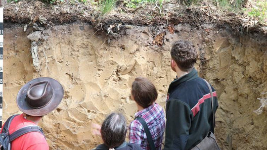 21 08 13 Bodeneinschlag Foto Staeding Ein Förster erklärt Waldbesuchern in einem Bodeneinschlag die Bedeutung des Bodens für das Waldökosystem